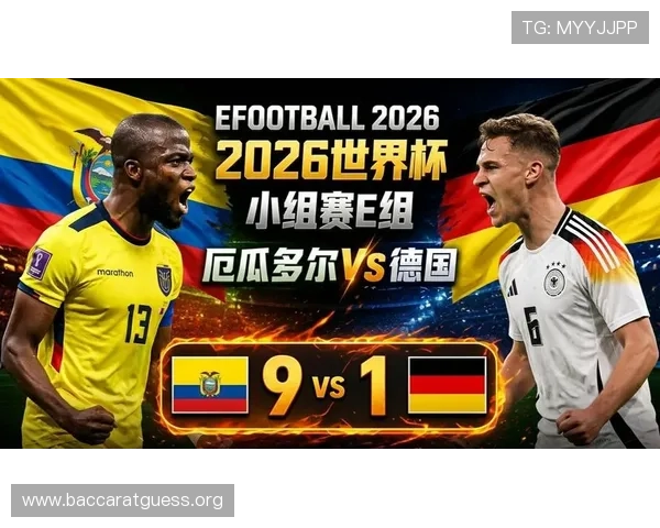 世界杯厄瓜多尔vs德国比赛场馆安全措施与应急预案介绍